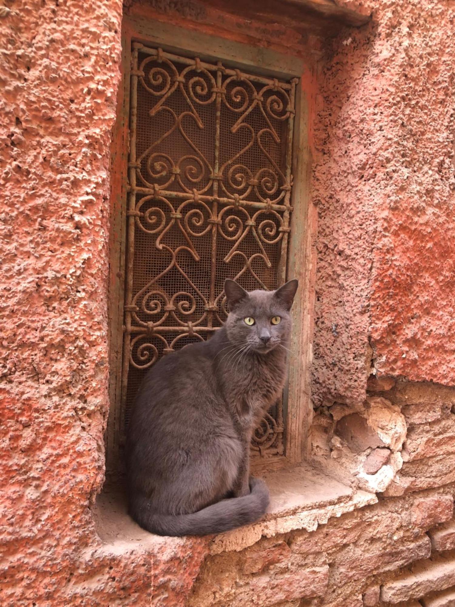 Riad Abbassia Marrakech Premiere Marrakesh Exterior foto